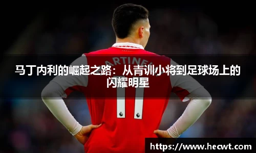 马丁内利的崛起之路：从青训小将到足球场上的闪耀明星